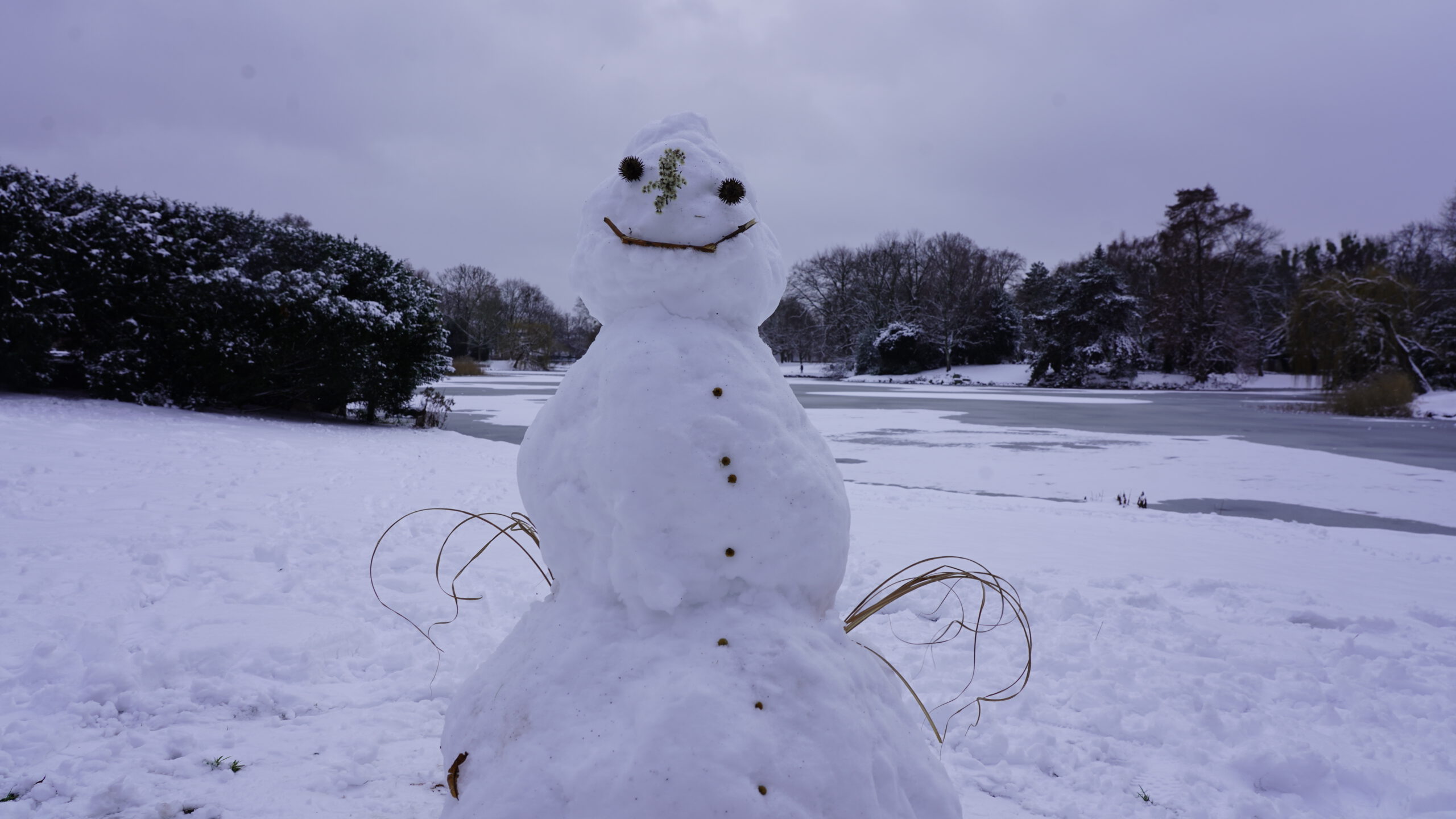 Schnee in Hannover - fotografiert mit der Sony Alpha 7M3 (Firmware Update 4.03 von 04-09-2025)